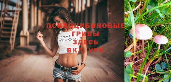 героин Алексин