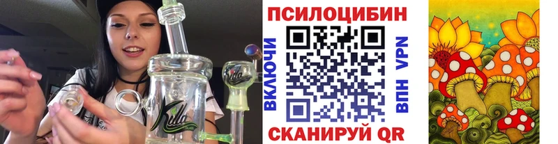 Псилоцибиновые грибы ЛСД купить закладку Сунжа